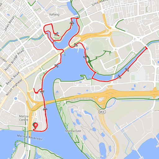 singapore ride map